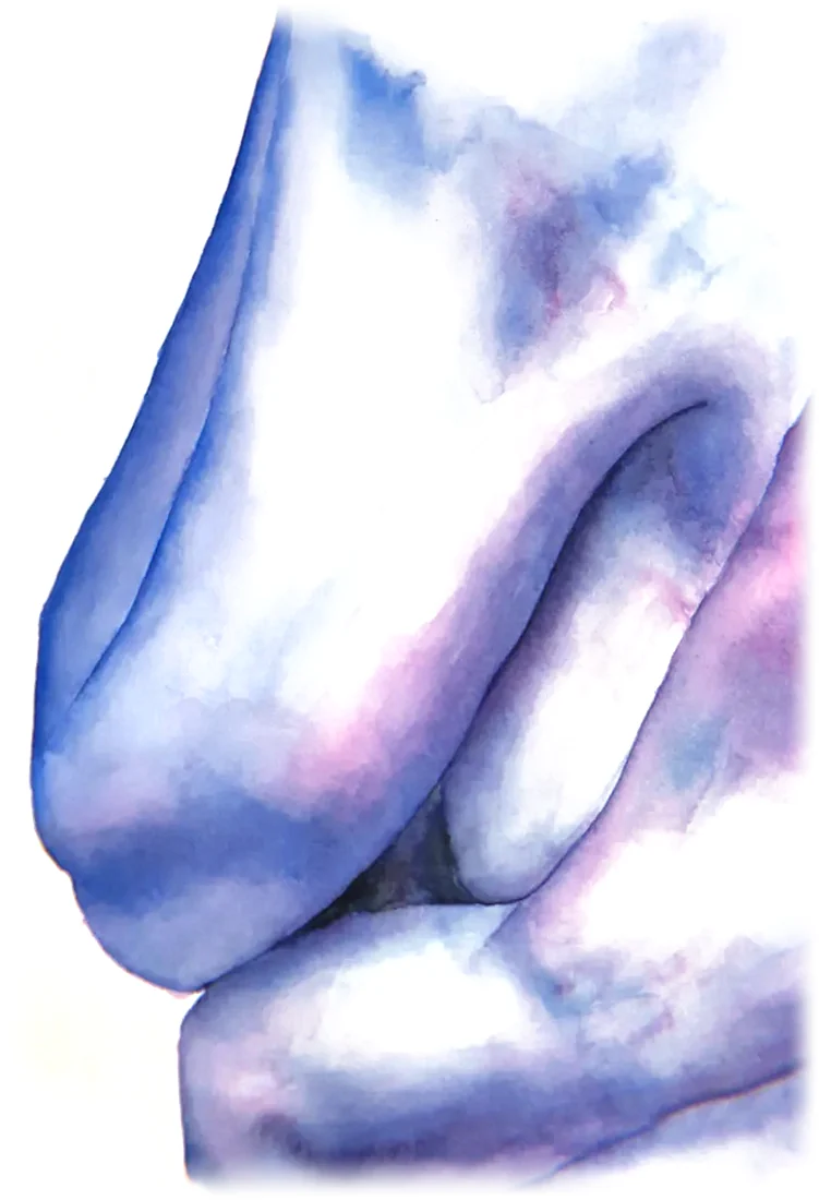 Acuarela en azules y rosados: los pliegues de un cuerpo recogido sobre sí mismo.